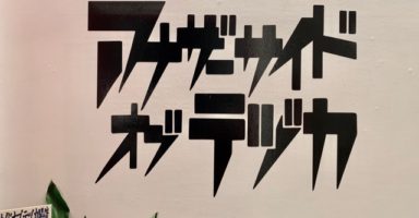 アナザーサイドオブテヅカ_タイトル